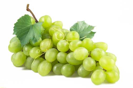 grape-transparent